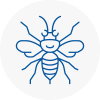 Sauchie Hornet Nest Removals